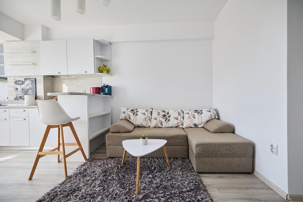 Alessandro Home 9 Luxury Centru Palas Mall Iasi Moldovei 30 ภายนอก รูปภาพ
