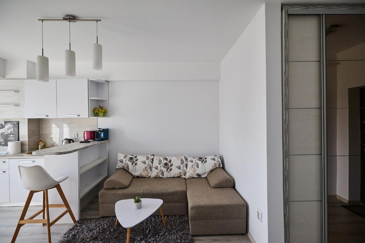 Alessandro Home 9 Luxury Centru Palas Mall Iasi Moldovei 30 ภายนอก รูปภาพ